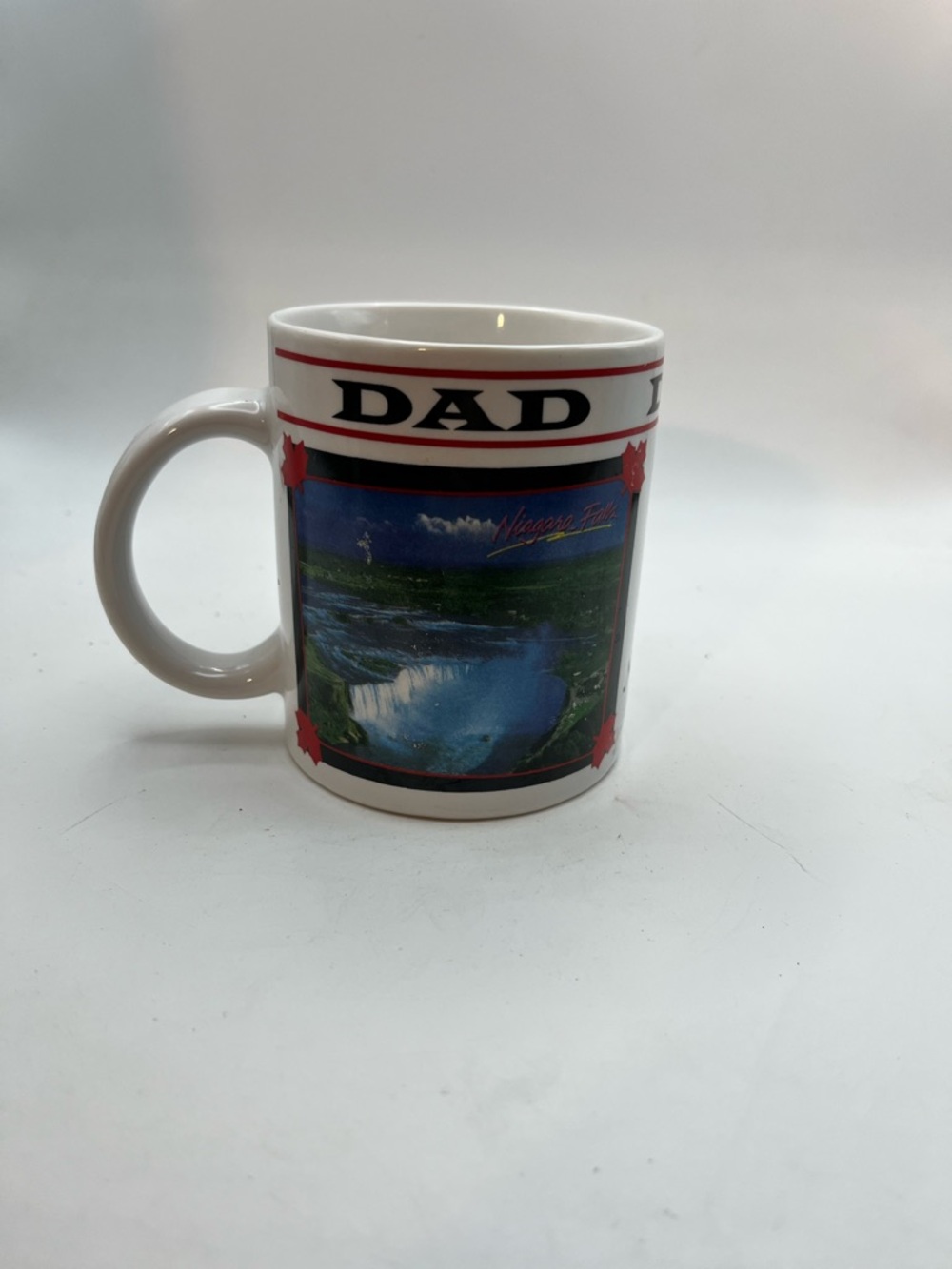Niagara Falls 'DAD' Photo Ceramic Mug - White